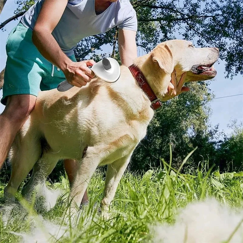 Self-Cleaning Pet Grooming Brush – One-Click Hair Removal