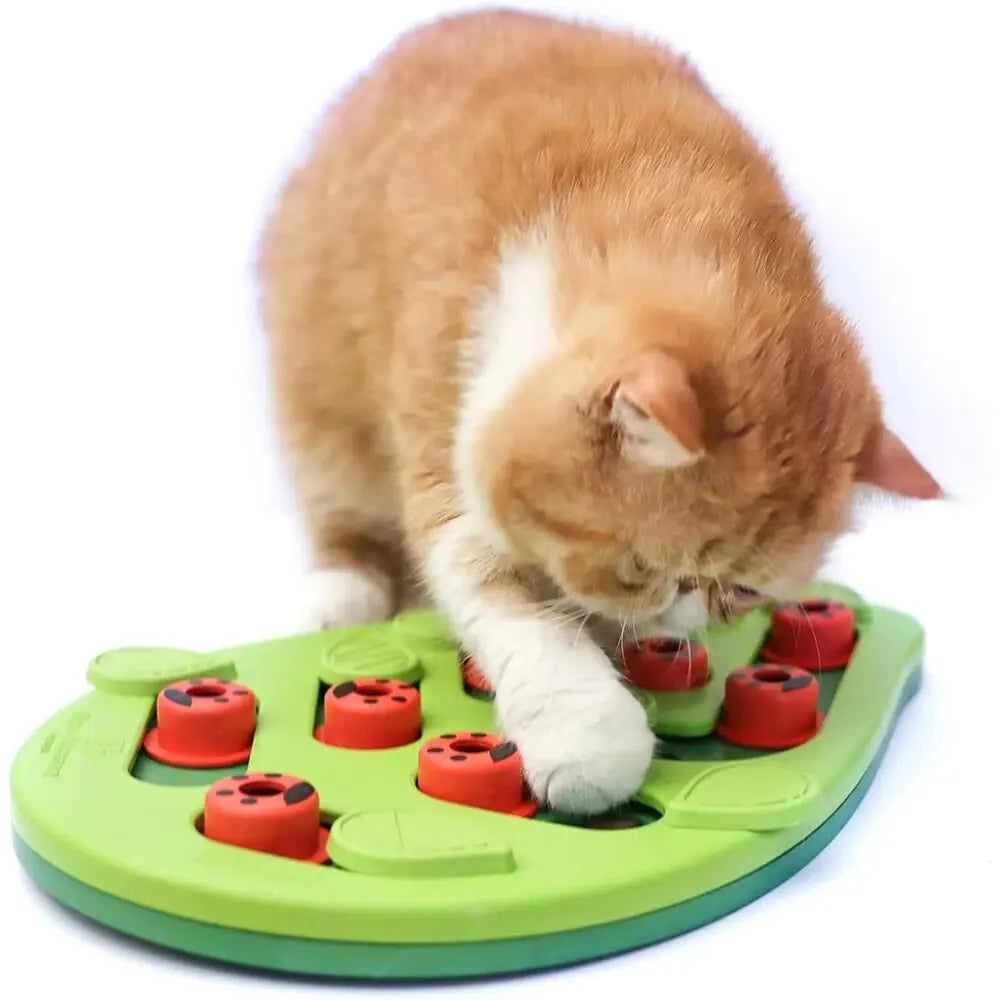 Cat Puzzle Treat Toy Made of High Quality Non Toxic Plastic with Playful and Interactive Style Adjustable Difficulty Mental