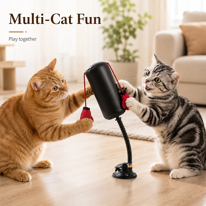 Cat Boxing Toy Multifunctional Cat Entertainment Game For Boxing And Self-relaxation Interactive Cat Toy Fun And Relaxation Toy
